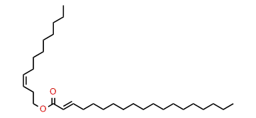(Z)-3-Dodecenyl nonadecenoate